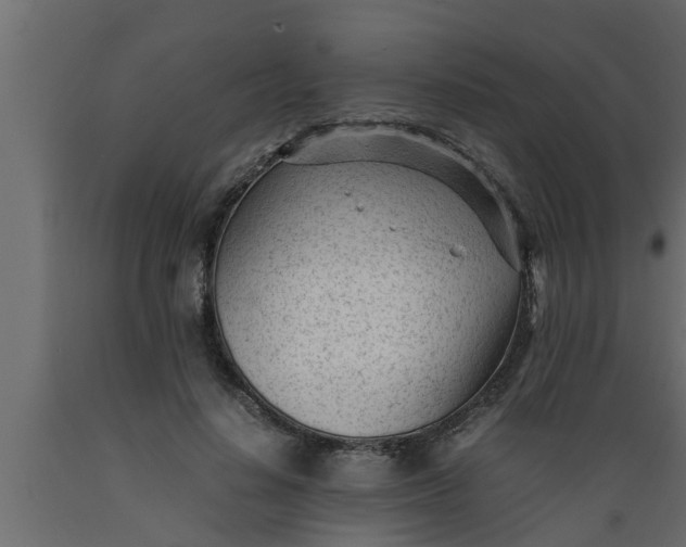 X0000089450644200707061243