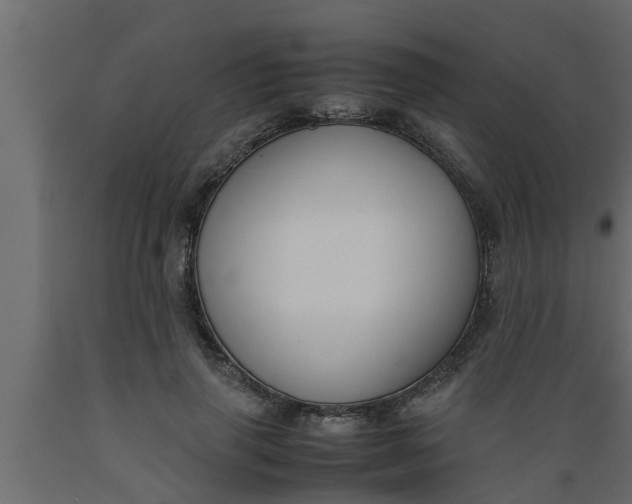 X0000089450645200707061243