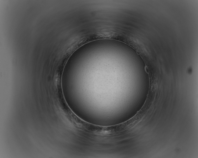 X0000089450647200707061243