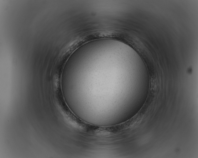 X0000089450648200707061243