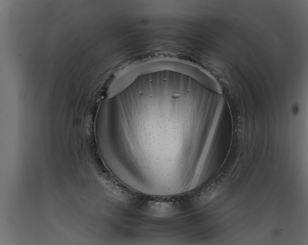 X0000089450649200707061243