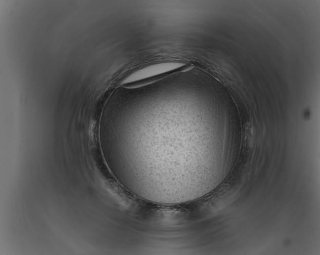 X0000089450650200707061243