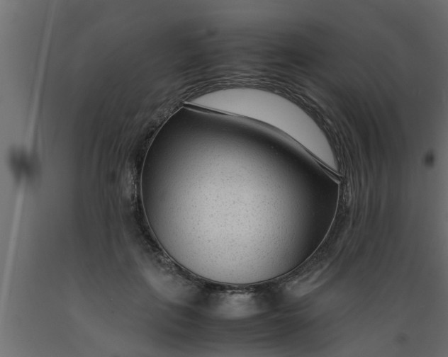 X0000089450651200707061243