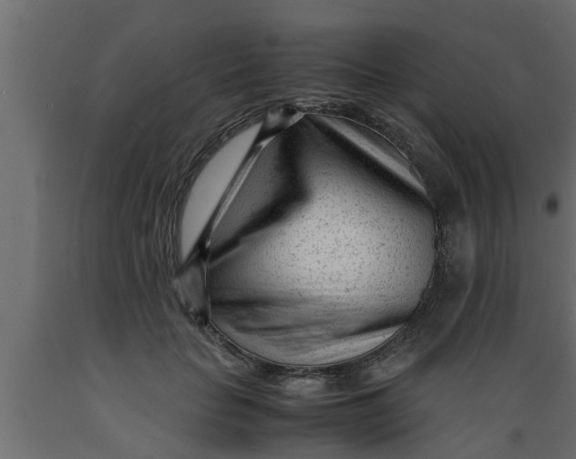 X0000089450653200707061243