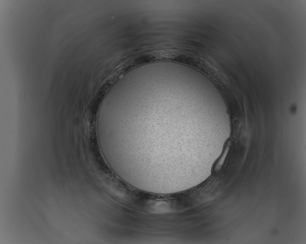 X0000089450655200707061243