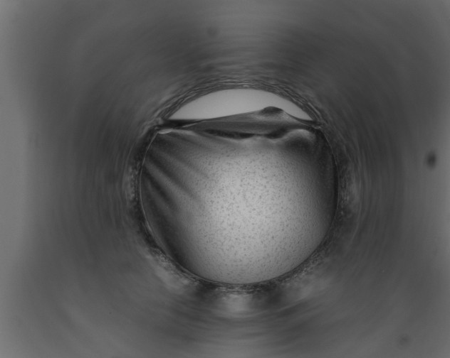 X0000089450658200707061243