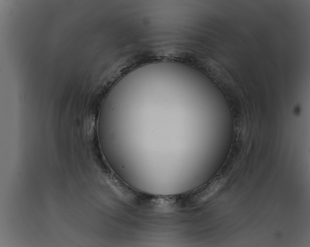 X0000089450660200707061243