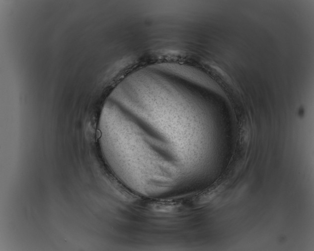 X0000089450661200707061243