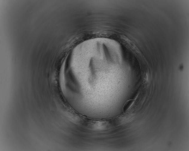 X0000089450663200707061243