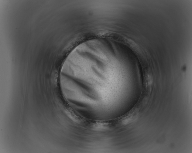 X0000089450664200707061243