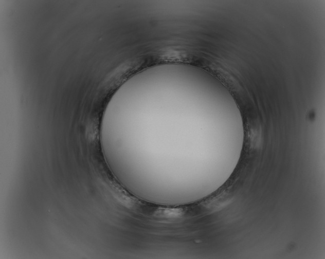 X0000089450665200707061243