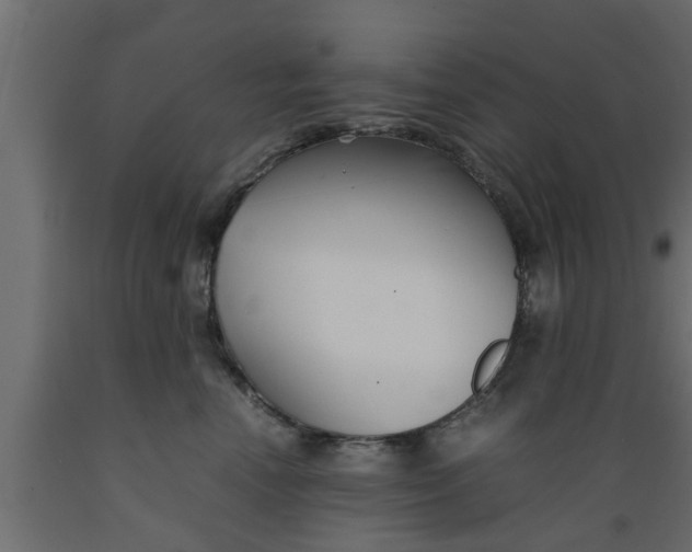 X0000089450666200707061243