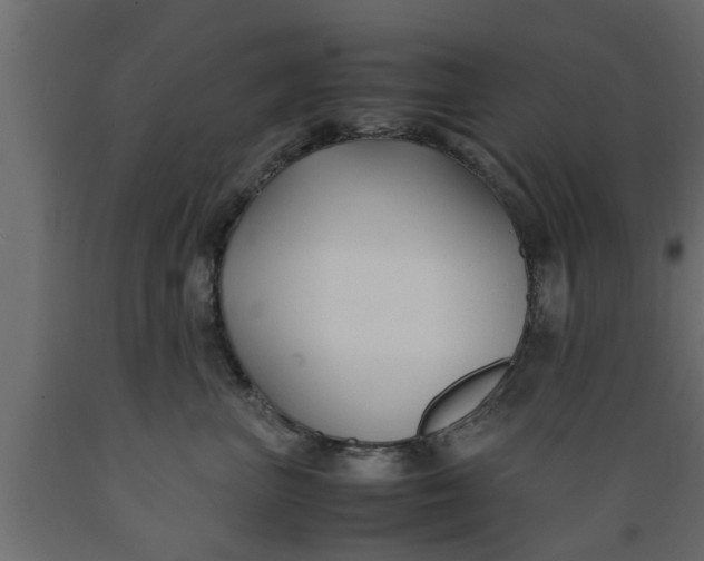 X0000089450667200707061243