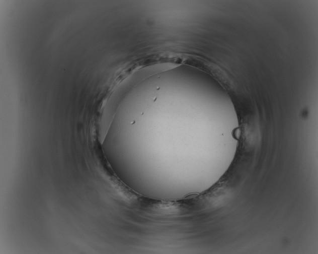 X0000089450668200707061243