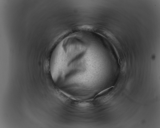 X0000089450669200707061243