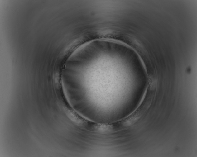 X0000089450670200707061243