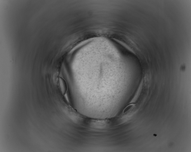 X0000089450671200707061243