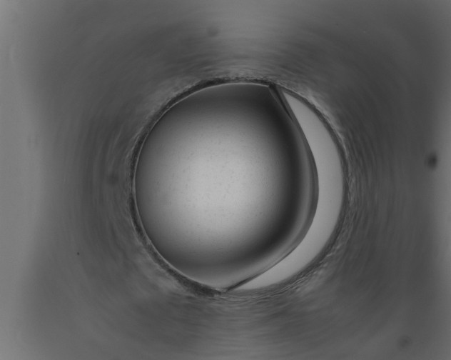 X0000089450673200707061243