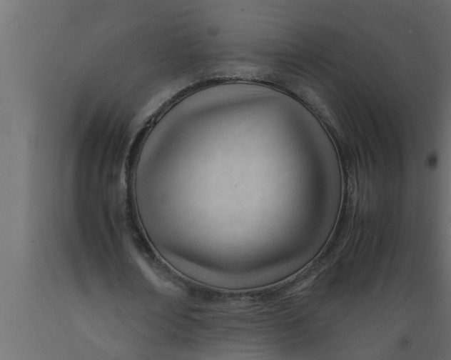 X0000089450674200707061243