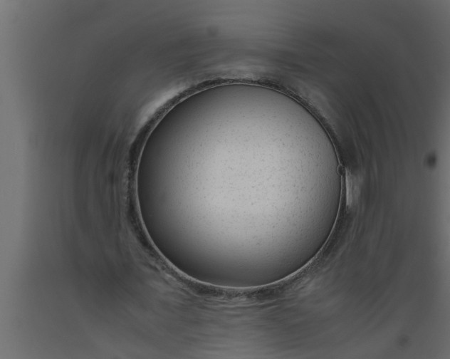 X0000089450675200707061243