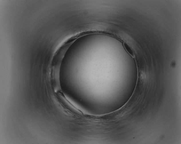 X0000089450676200707061243