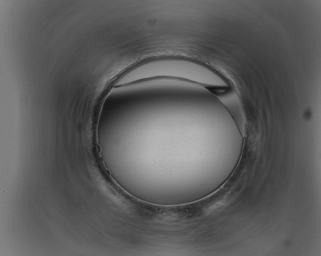 X0000089450677200707061243