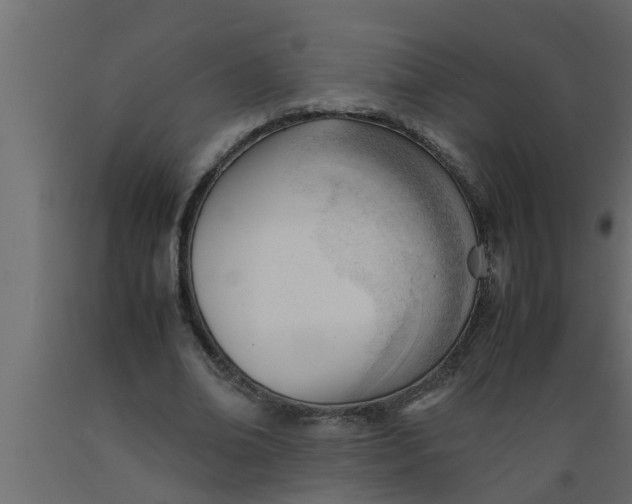 X0000089450678200707061243