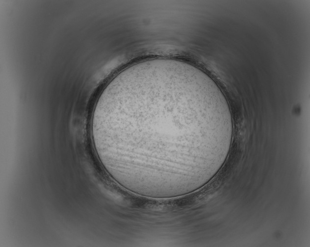 X0000089450679200707061243