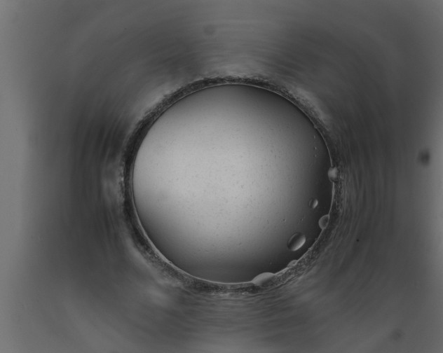 X0000089450680200707061243