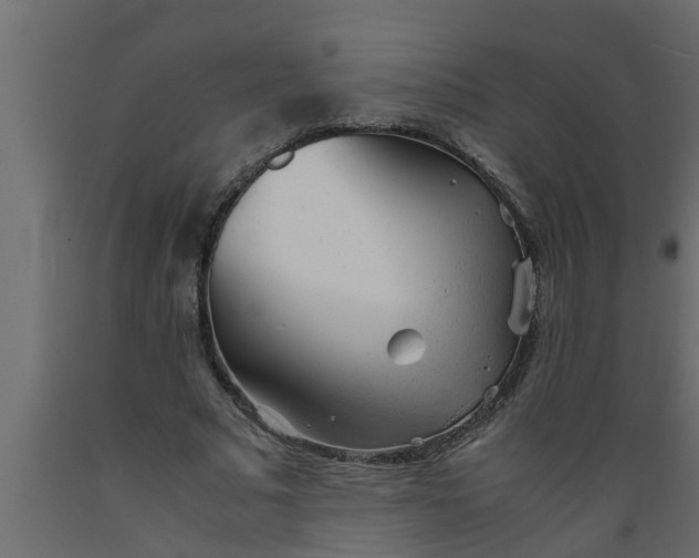 X0000089450681200707061243