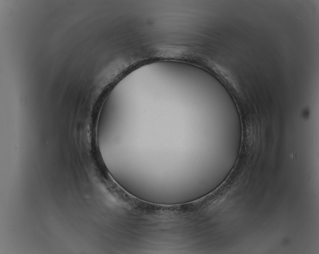 X0000089450682200707061243