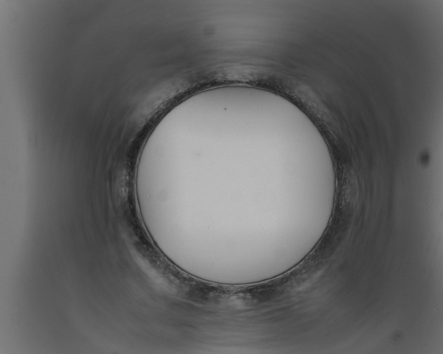 X0000089450683200707061243