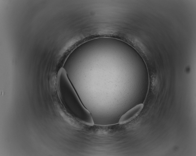 X0000089450684200707061243