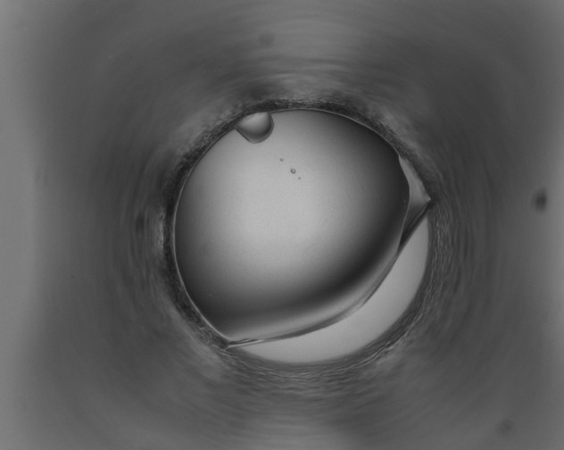 X0000089450685200707061243