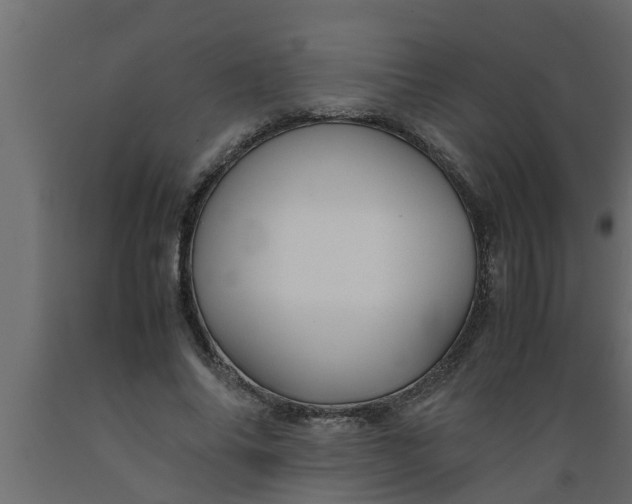 X0000089450686200707061243