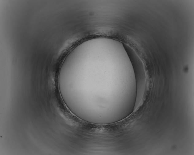 X0000089450688200707061243