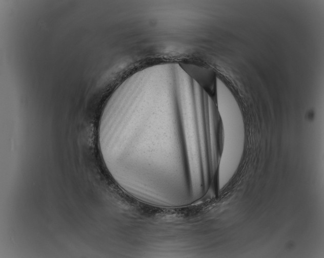 X0000089450689200707061243