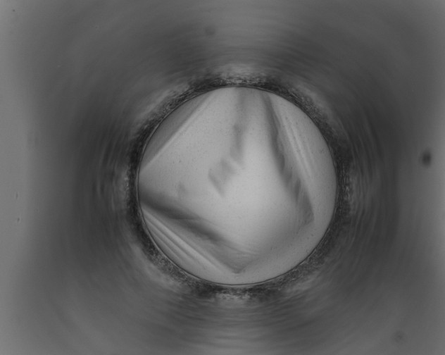 X0000089450690200707061243