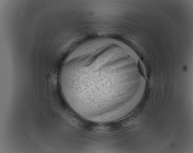 X0000089450691200707061243