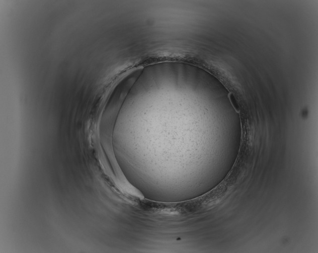 X0000089450692200707061243