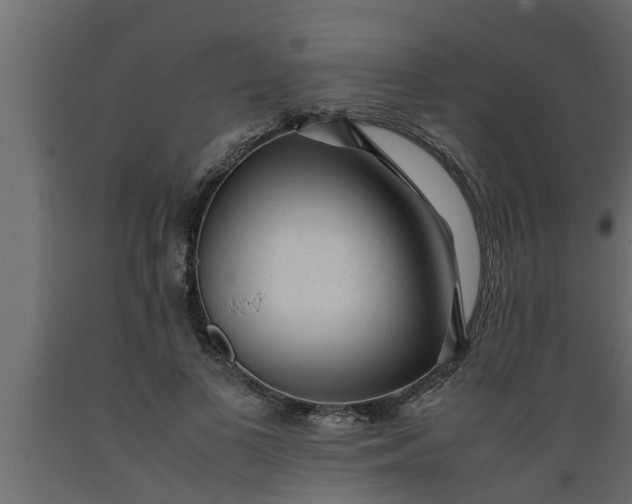 X0000089450693200707061243