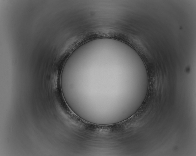 X0000089450694200707061243