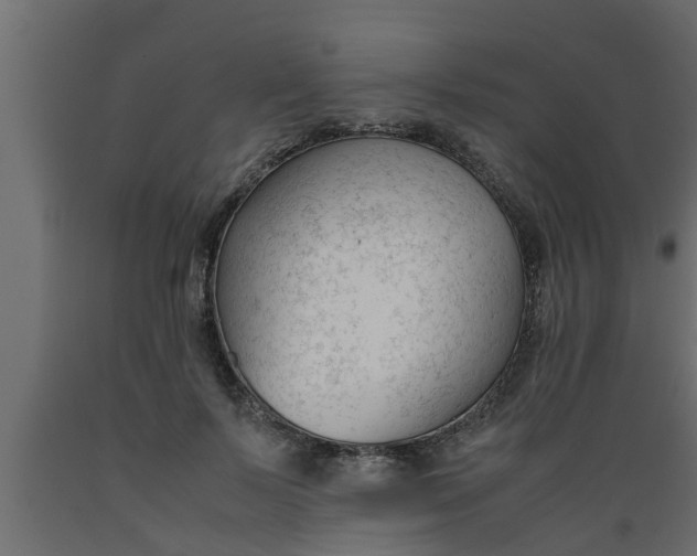 X0000089450695200707061243