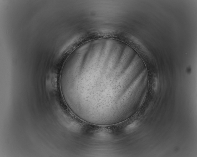 X0000089450696200707061243