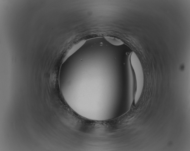 X0000089450697200707061243