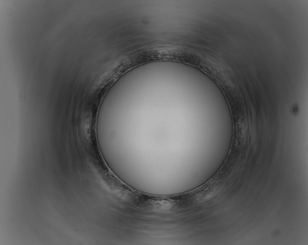 X0000089450698200707061243