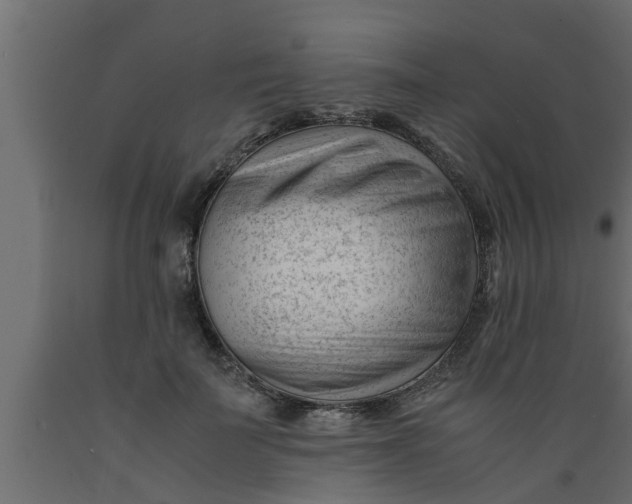 X0000089450699200707061243