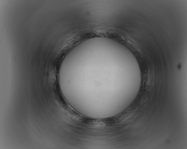 X0000089450702200707061242