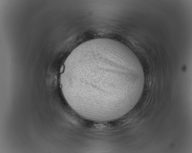 X0000089450703200707061242