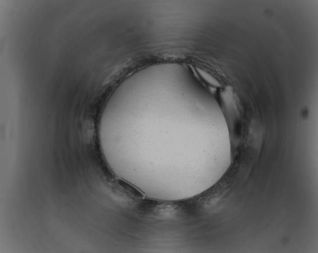 X0000089450704200707061242